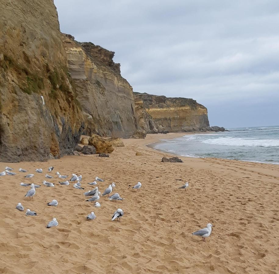 Port Central No 4 Port Campbell Dış mekan fotoğraf